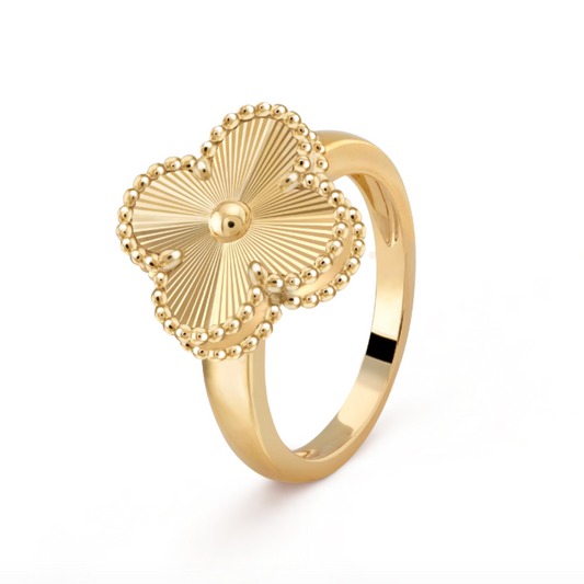 AMBER ANELLO | ORO